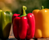 Pimiento california