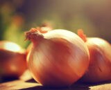 Cebollas