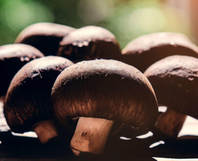 Champiñón portobello