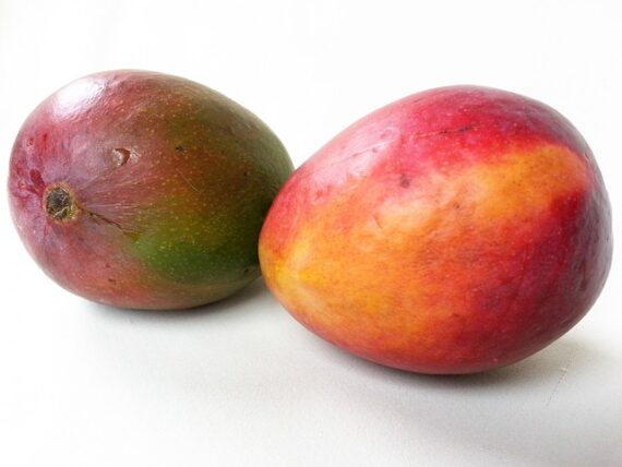 Mango - Unidad