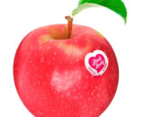 Manzana pink lady