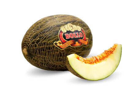 Melón bollo