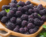 Moras