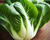 Pac Choi