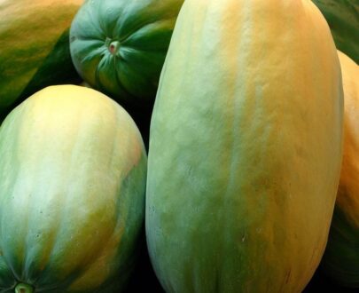 Papaya grande o papayon