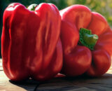 Pimientos rojos