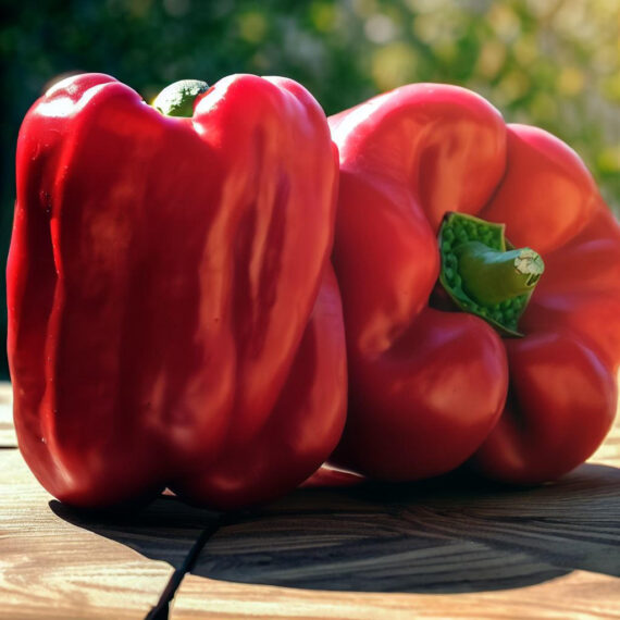 Pimientos rojos