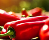 Pimiento rojo italiano