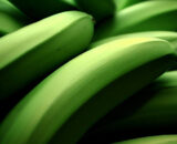 Plátano macho (precio Kg)