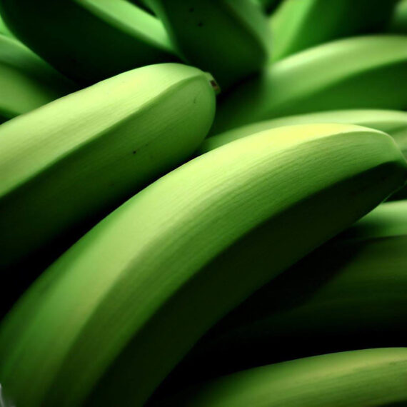 Plátano macho (precio Kg)