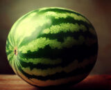 Sandia