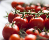 Tomate cherry