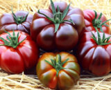 Tomate negrillo