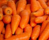 Zanahorias