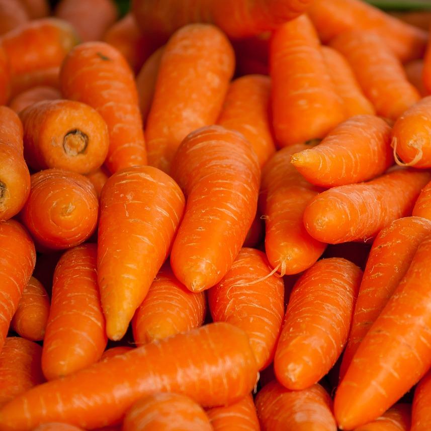 Zanahorias