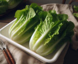 Lechuga romana bandeja